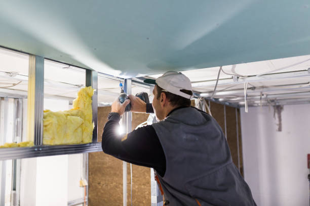 Professional Insulation Contractor in Murphys Estates, SC