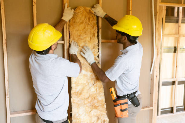 Best Attic Insulation Installation  in Murphys Estates, SC