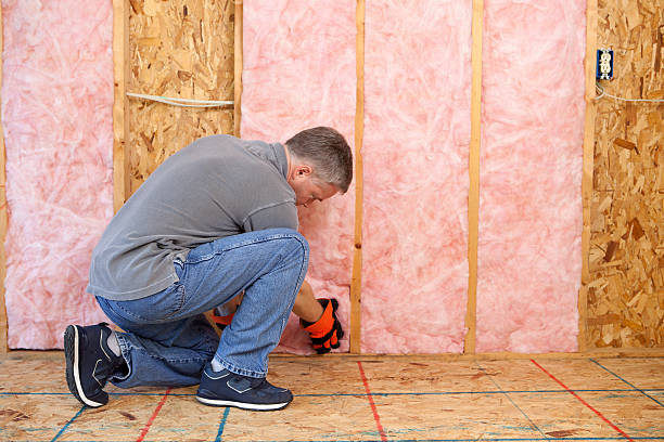 Best Residential Insulation Services  in Murphys Estates, SC
